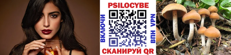 Псилоцибиновые грибы GOLDEN TEACHER  Лениногорск 