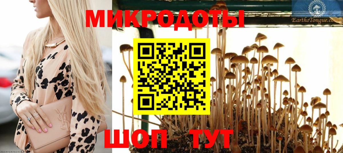 Галлюциногенные грибы прущие грибы Лениногорск